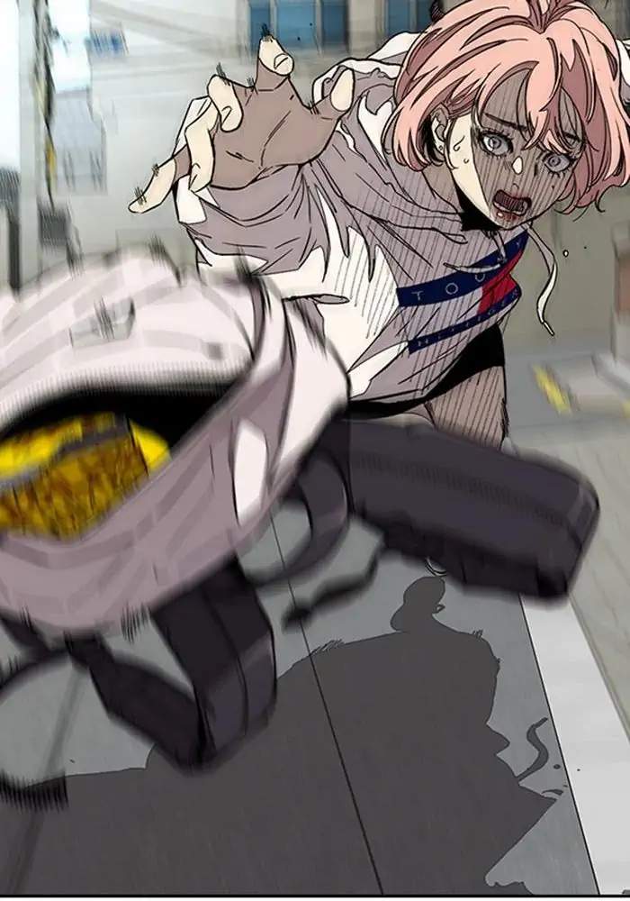 Wind Breaker