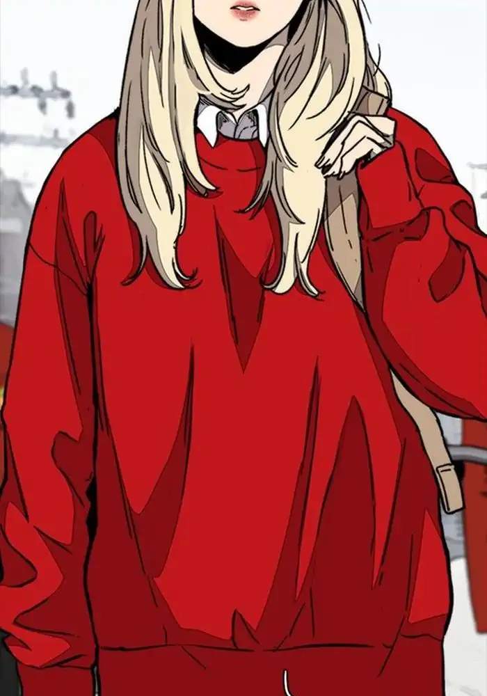 Wind Breaker