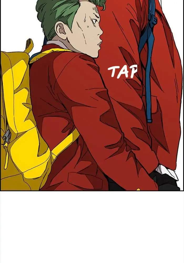 Wind Breaker