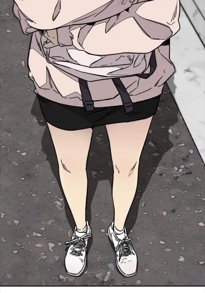 Wind Breaker