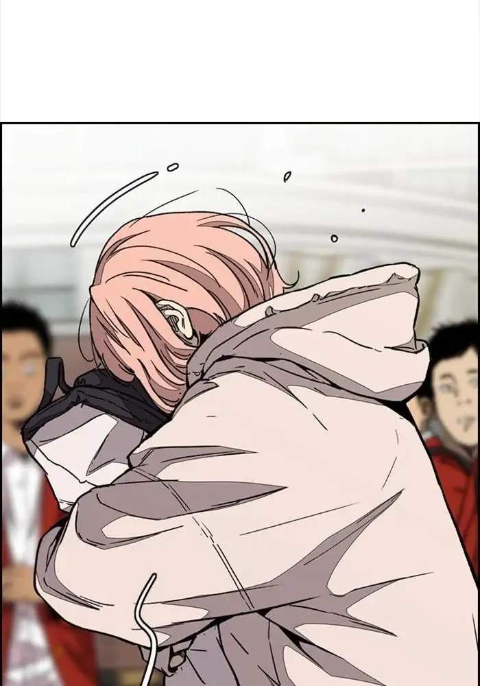 Wind Breaker