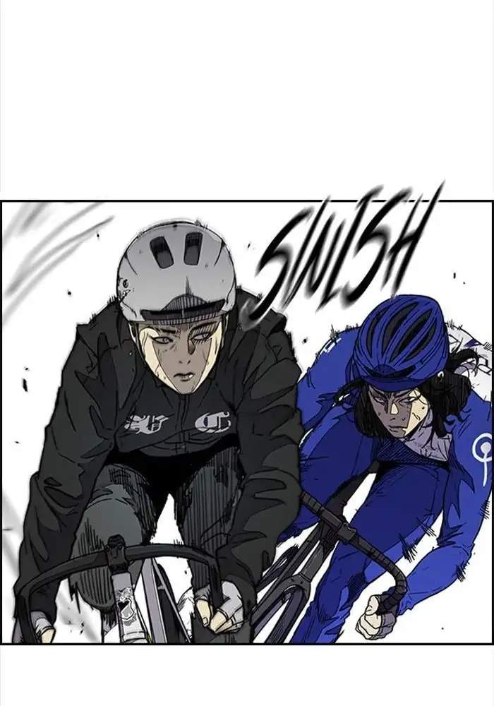 Wind Breaker