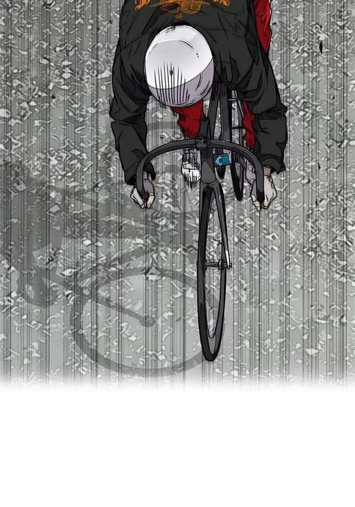 Wind Breaker