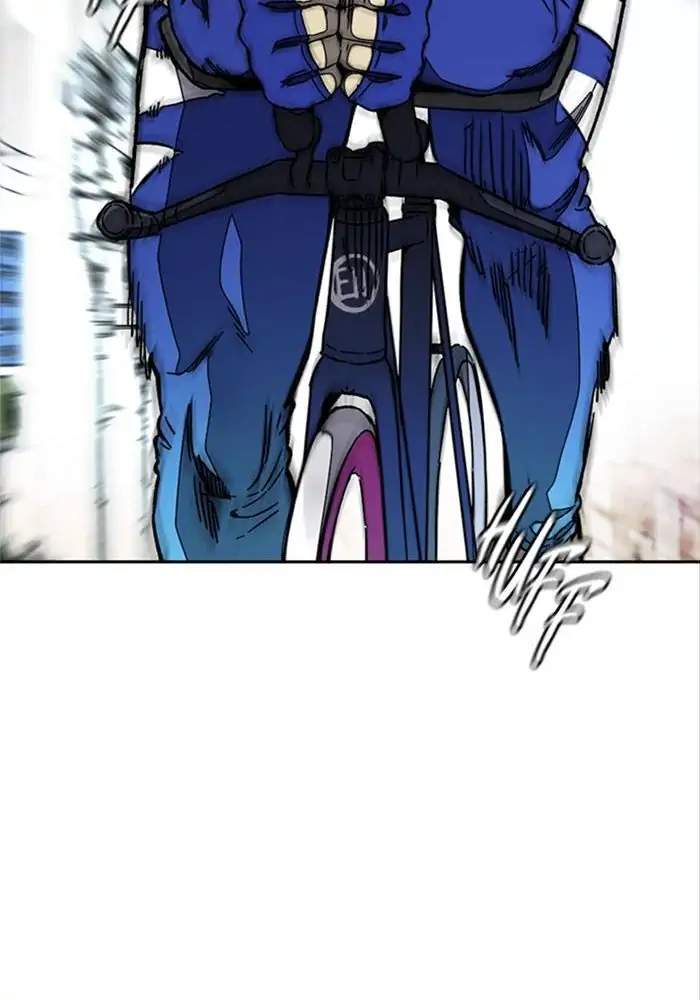 Wind Breaker