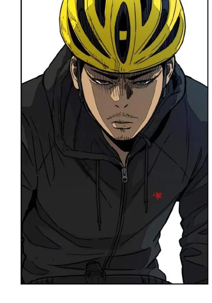 Wind Breaker