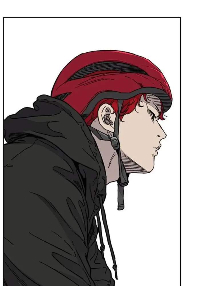 Wind Breaker
