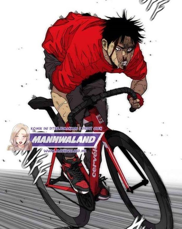 Wind Breaker