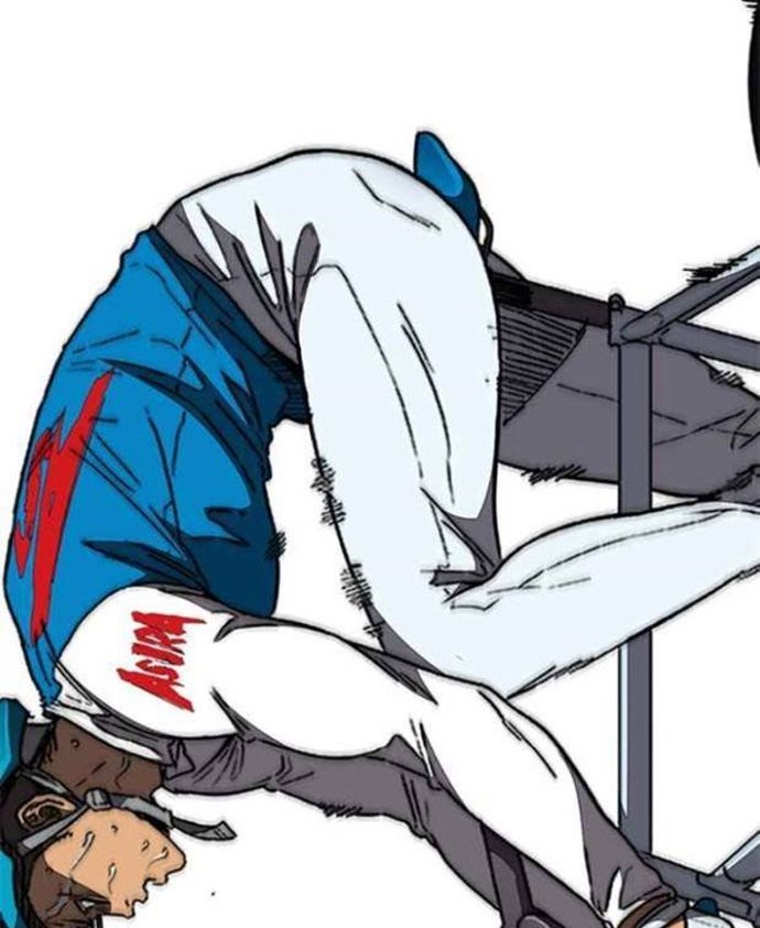 Wind Breaker