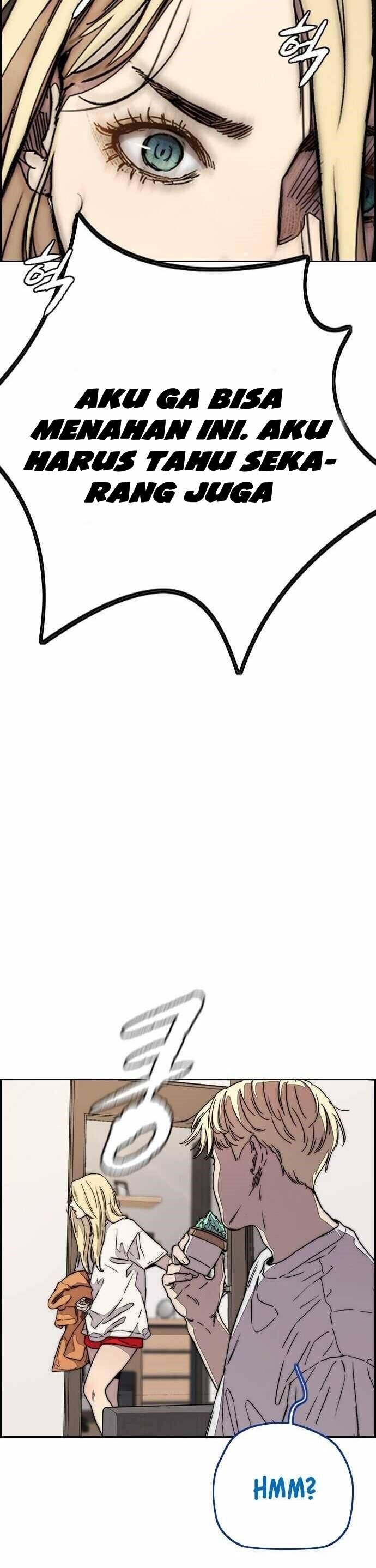 Wind Breaker