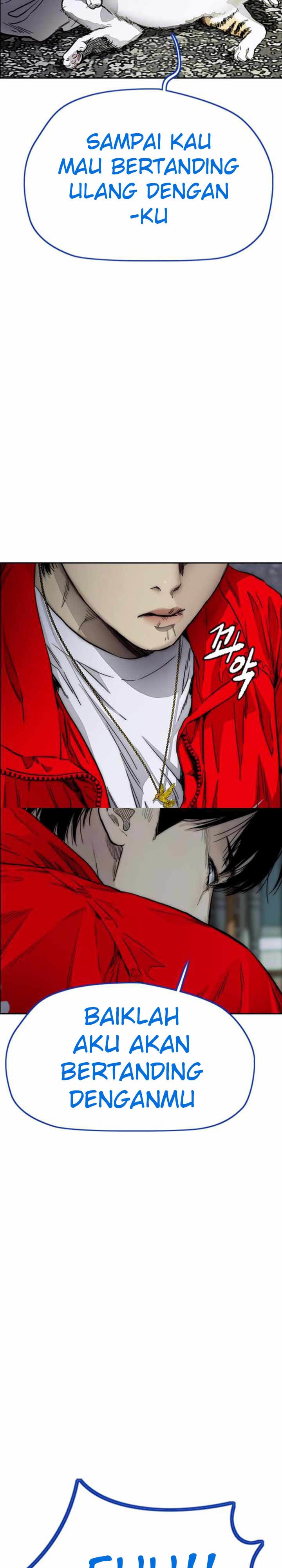 Wind Breaker