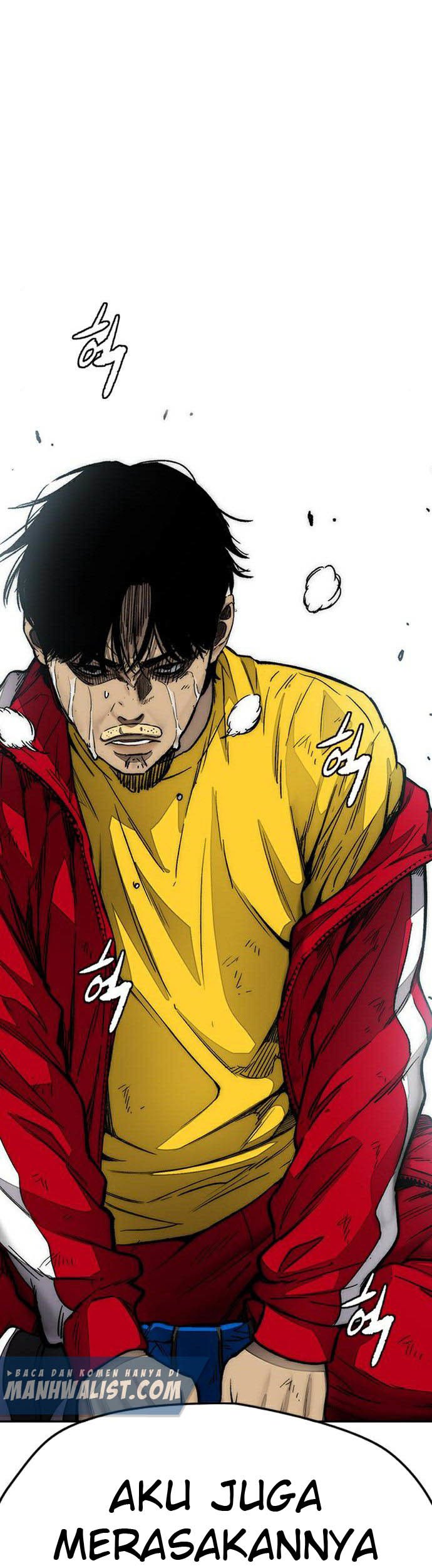 Wind Breaker