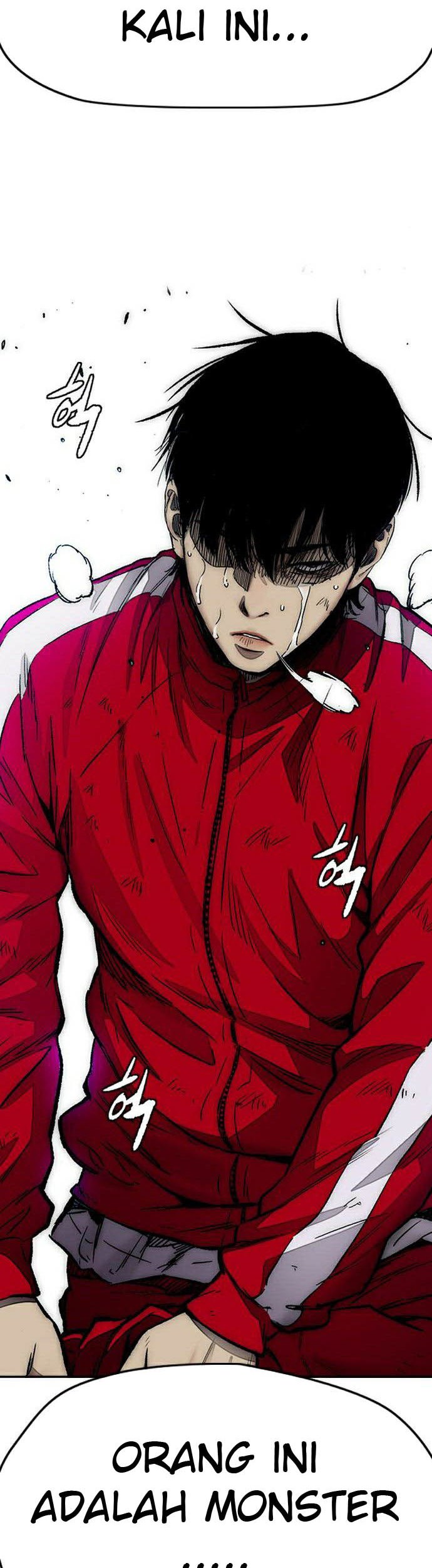 Wind Breaker