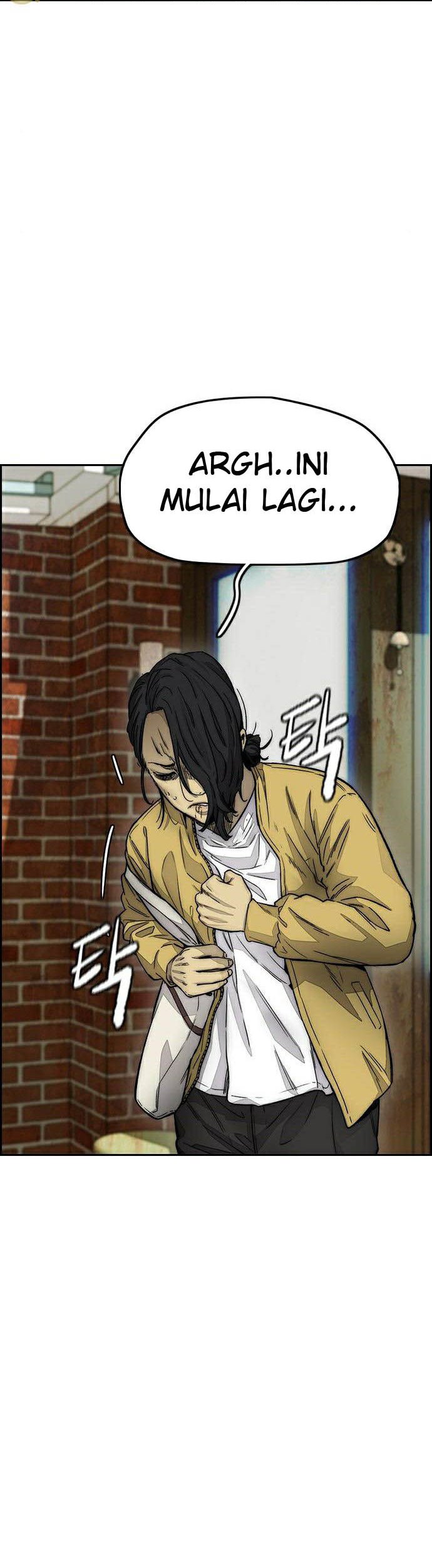 Wind Breaker