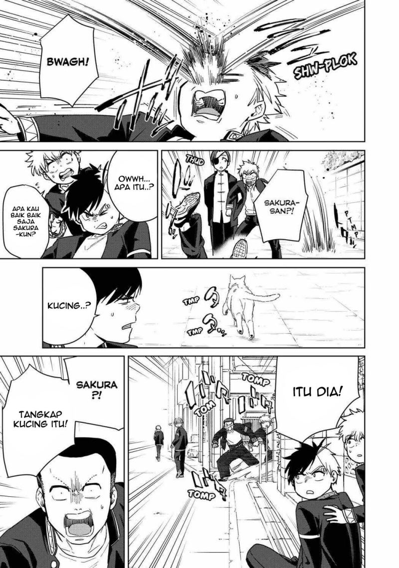 Wind Breaker (NII Satoru)