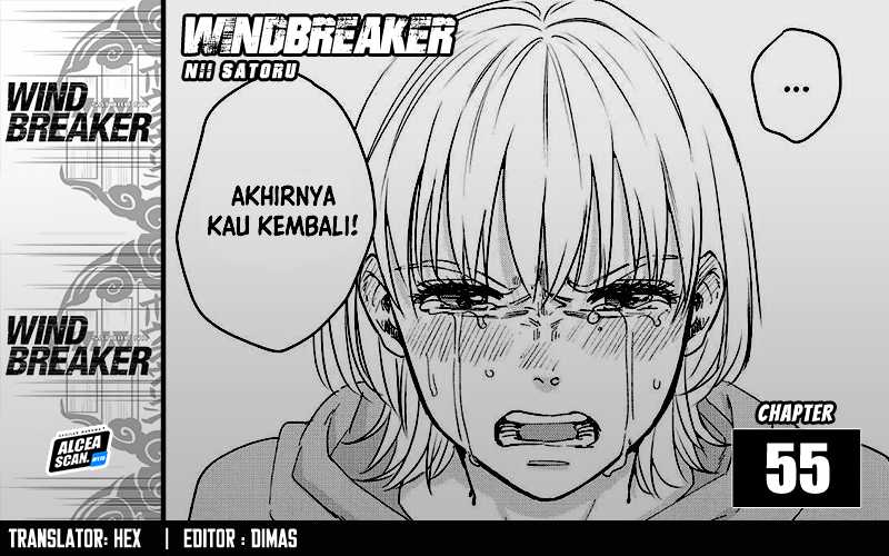 Wind Breaker (NII Satoru)