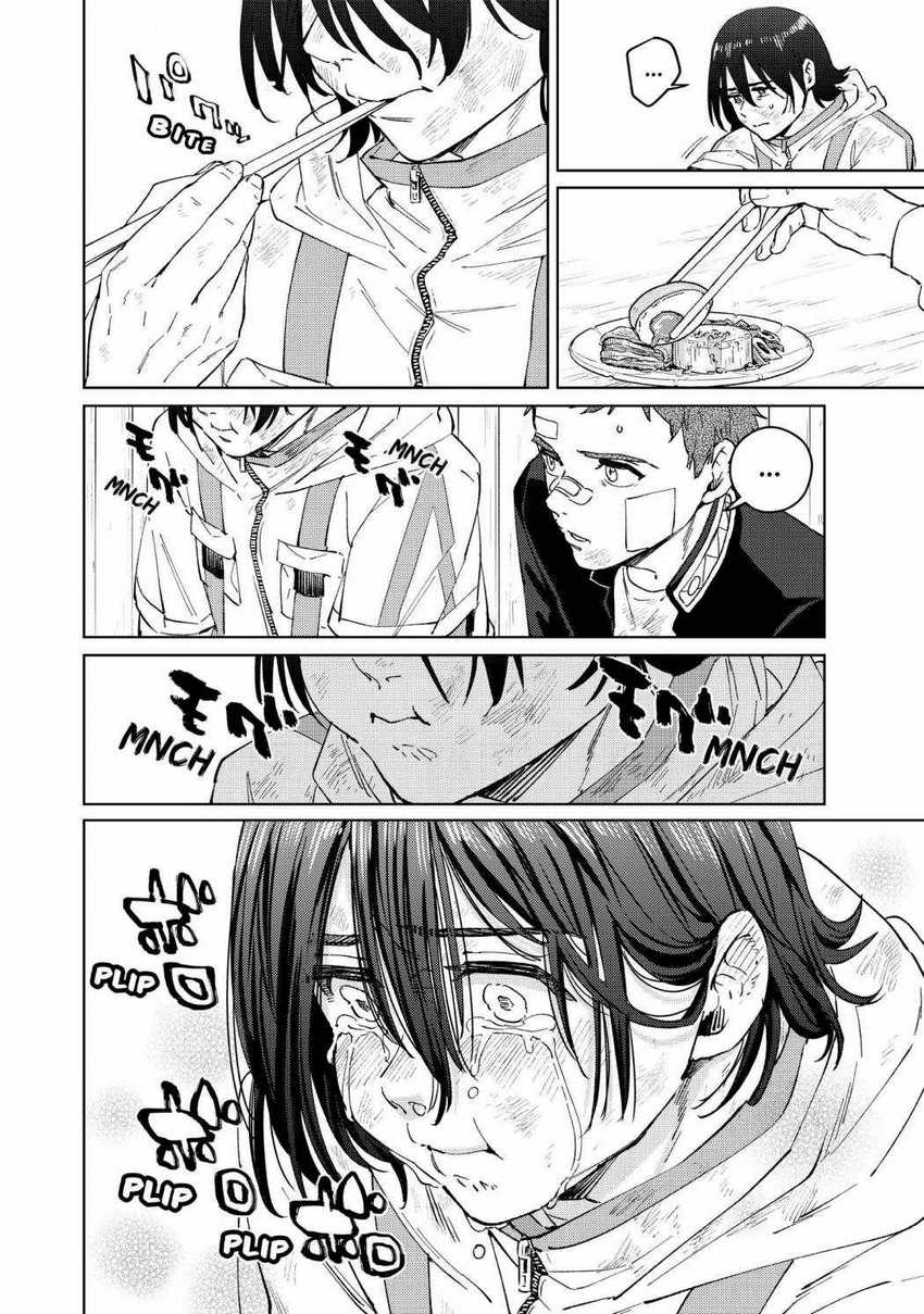 Wind Breaker (NII Satoru)