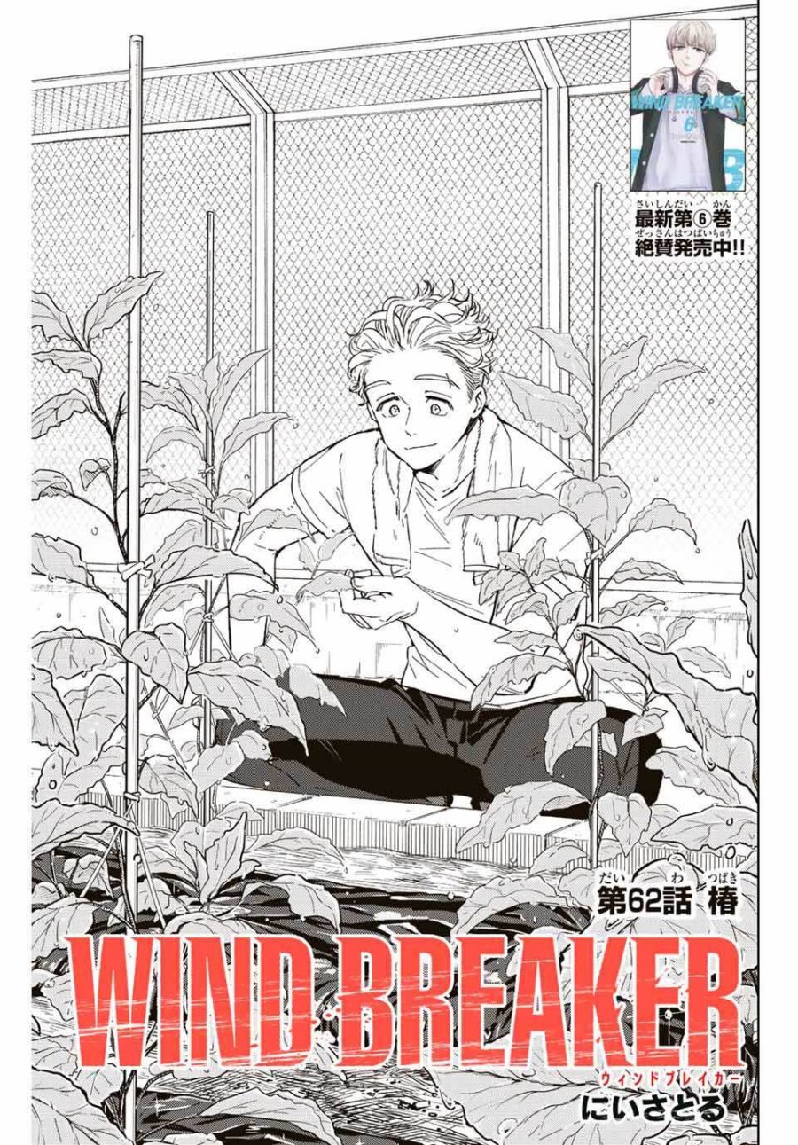 Wind Breaker (NII Satoru)